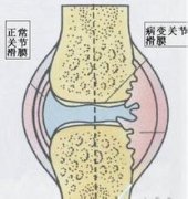 <b>ЩɻĤ</b>