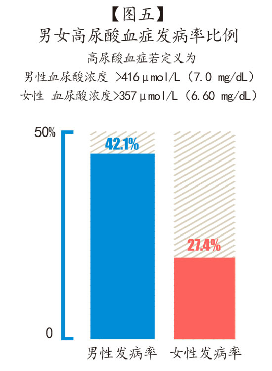 图五-男女高尿酸血症的发病率比例.jpg