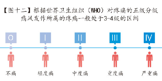 图十二-痛风疼痛在疼痛5个等级中的3-4级区间.jpg