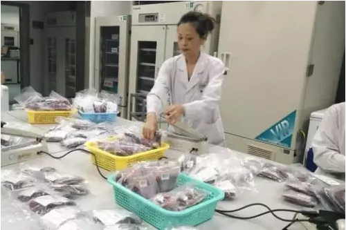成都市血液中心全力做好8.8九寨沟地震血液应急救援工作